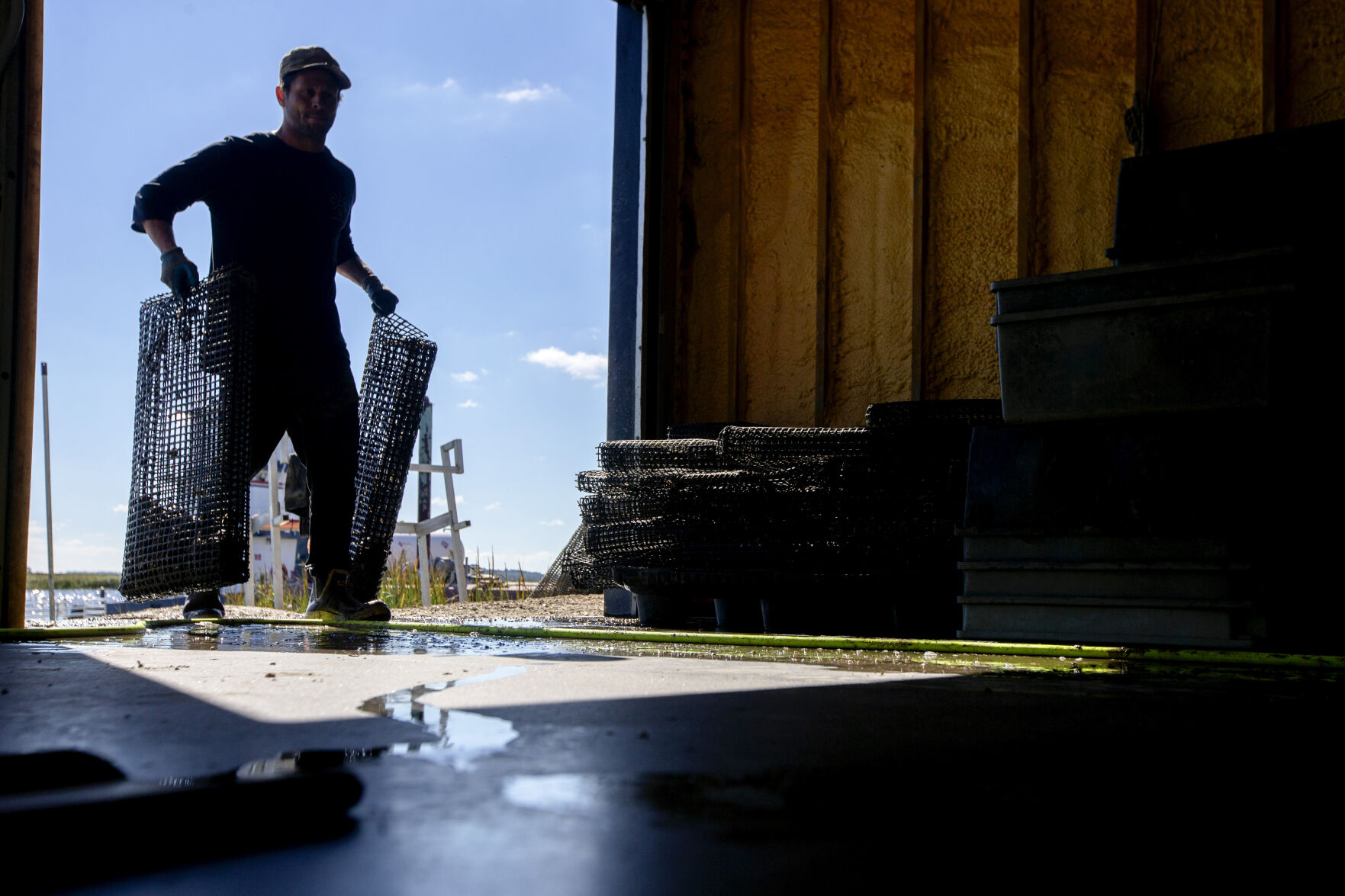Oyster farm a different kind of tourist attraction in the Lowcountry